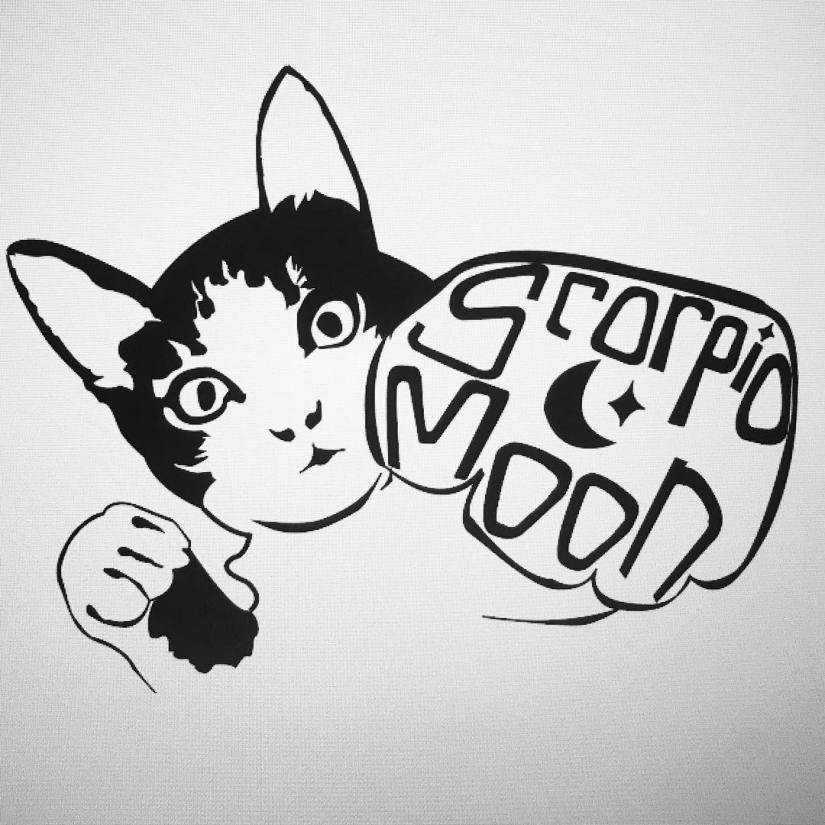 55939763_305661093446778_7031711261486219264_o